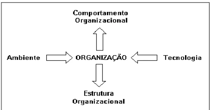 Figura 1 – Determinantes da Estrutura e do Comportamento Organizacional  Fonte: Adaptado de Faria (2002