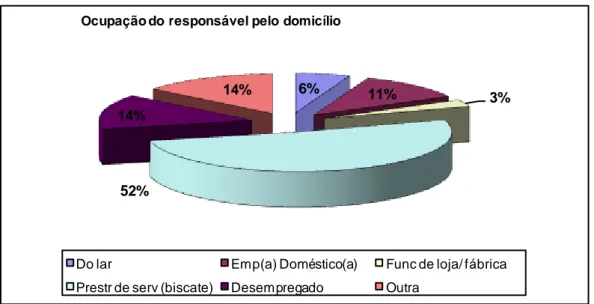 Gráfico  3  –  Distribuição  percentual  dos  tipos  de  ocupação  entre  os  moradores da Vila Tamarindo   (n = 140) 