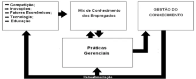 Figura 3: Ciclo da Gestão do Conhecimento 