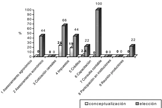 Gráfico Nº 1: Elección de imágenes y su conceptualización como problema.  