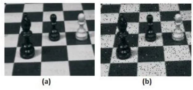 Figura 3: Imagem original (a) e com Sal e Pimenta (b). 