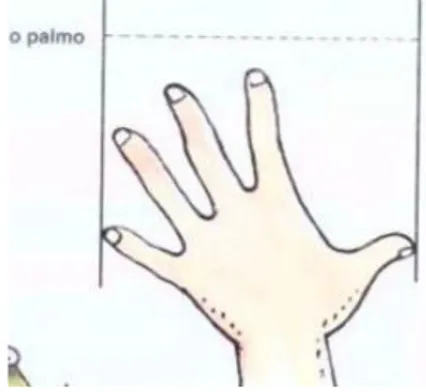 Figura 3 - Exemplificação da medida do palmo. 