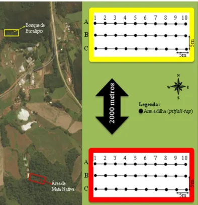 Figura 2. Mapa das áreas de coletas de artrópodes. Croqui das metodologias de coletas, com armadilha de solo