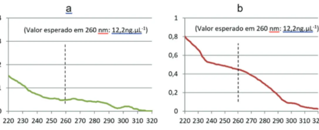 Figura 4. (a) Curva de absorvância da média de soluções de DNA obtidas de 11 amostras de  câmbio de Erythrina crista-galli [(1.5) (1.5) (2.1) (2.1) (3.3) (4.1) (4.2) (5.1) (5.2) (6.1) (6.1)],  utilizando o protocolo modificado de Nienhuis et al