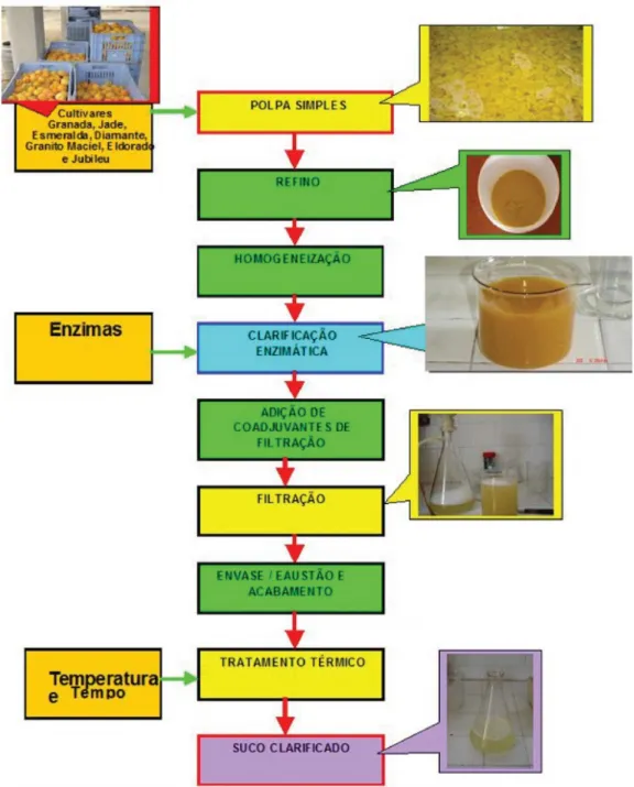 Figura 1. Fluxograma de Processamento do Suco clarificado de pêssegos.