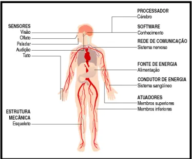 Figura 2 – Sistema biológico versus mecatrônico.