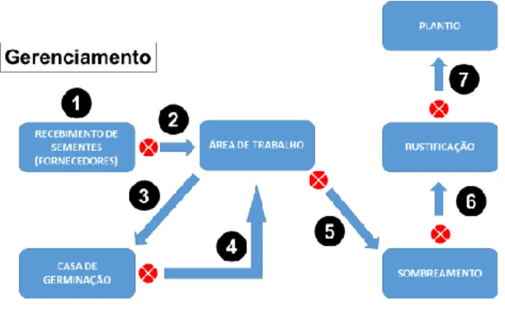 Figura 7: Esquematização do gerenciamento de mudas.