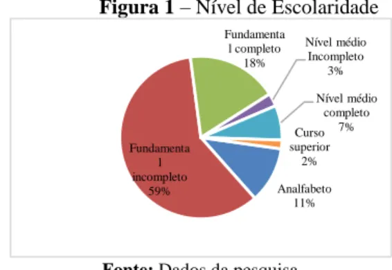 Figura 1 – Nível de Escolaridade 