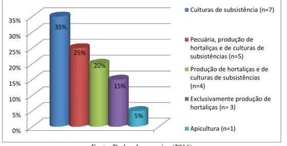 Figura 4. Distribuição dos entrevistados quanto aos tipos de atividades que eles exercem em suas propriedades 