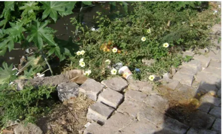 FIGURE 4. Garbage dumped the banks of the canal, as plastic bottles, bags, plastic cups