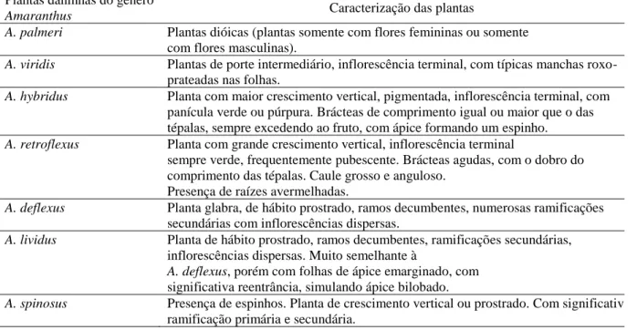 Tabela 01: Principais espécies de plantas daninhas do gênero Amaranthus encontradas no sistema agrícola do Brasil