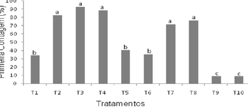 Figura 2. Primeira contagem de germinação de S. parahyba submetidas a tratamentos pré-germinativos 