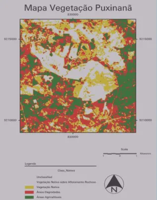 Figura 2. Mapa das tipologias vegetacionais e usos da terra da região estudada. 