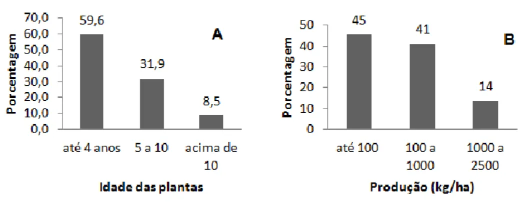 Figura 6- Idade das plantas e a produtividade alcançada nos pomares de nogueira-pecã no Brasil