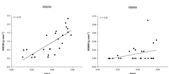Figura 3. Correlação entre o Índice Vegetativo por Diferença Normalizada (NDVI) por meio do sensor óptico e as  características de produção da Urochloa brizantha cv