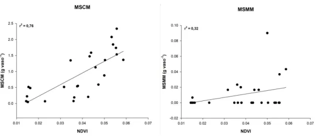 Figura 4. Correlação entre o Índice Vegetativo por Diferença Normalizada (NDVI) por meio da câmera  multiespectral e as características de produção da Urochloa brizantha cv