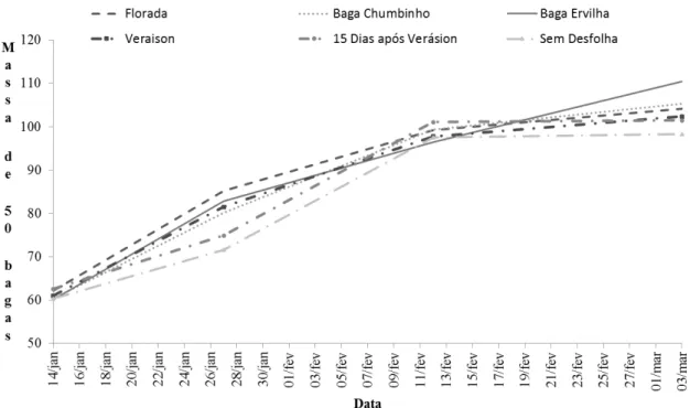 Figura 1. Evolução da massa de 50 bagas (gramas) durante a maturação da videira Sauvignon Blanc em função de diferentes épocas de desfolha durante a safra 2014/2015, em São Joaquim/SC.