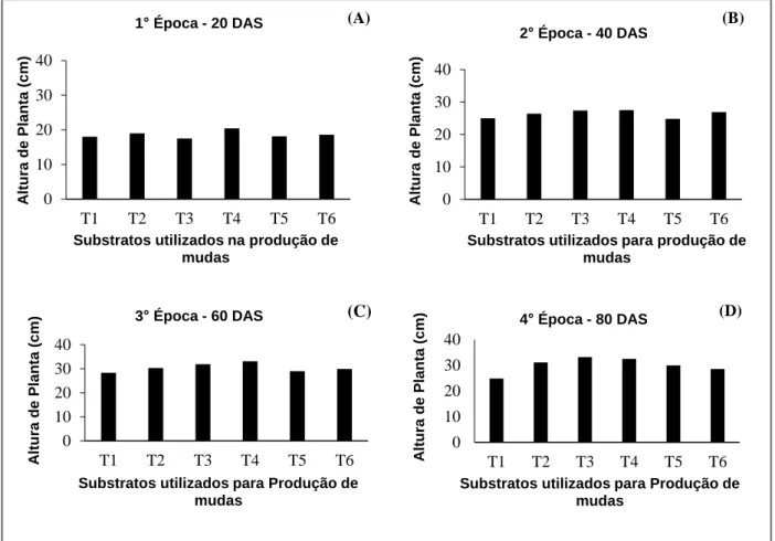 Figura 2. Altura de planta de Jatobá (H. courbaril), aos 20(A), 40 (B), 60 (C) e 80 (D) dias após a semeadura,  produzidas em distintos substratos: T1: terra, T2: areia lavada, T3: substrato comercial, T4: terra e substrato  comercial (proporção 1:1), T5: 