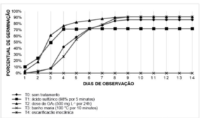Figura 1. Porcentagem de germinação de Hibiscus sabdariffa L. após a semeadura observadas entre o 1º e o 14º dia