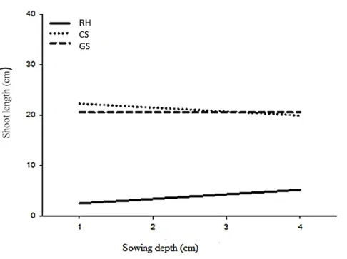 Figure 1. Regression of seeding depths x substrate x shoot length. RH (shoot length in carbonized rice hus) y =  1.60 + 0.89x R 2 0.04; CS (shoot length in commercial substrate) y = 23.01-0.77x R 2 0.03; GS (shoot length in 