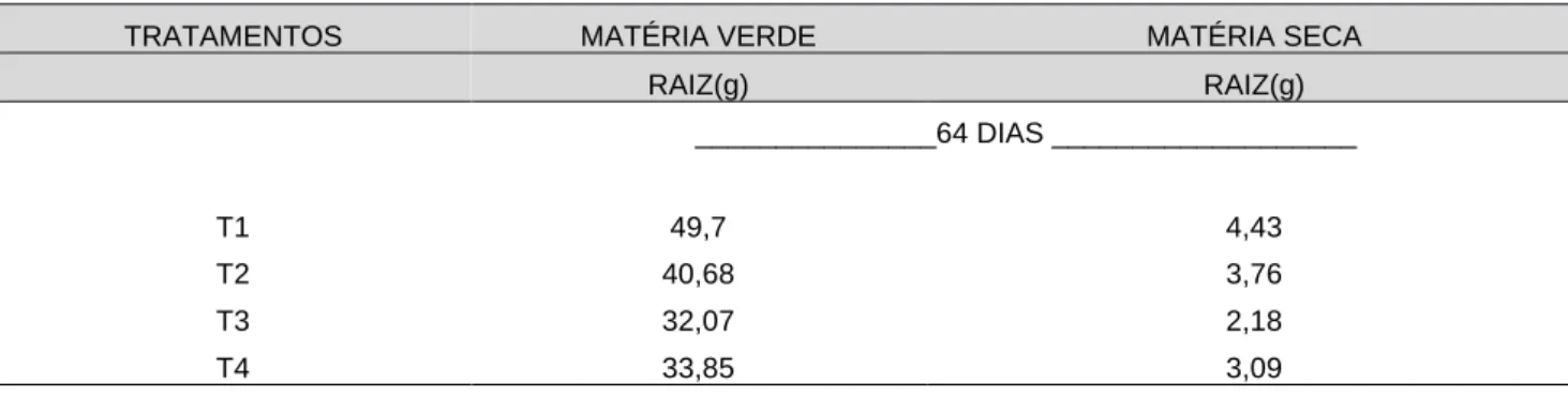 Tabela 4. Peso médio da matéria verde da raiz (MVR) e matéria seca da raiz (MSR) em gramas nos diferentes  tratamentos na cultura da alface