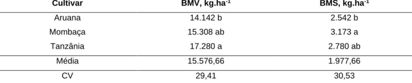 Tabela 2 - Produção de biomassa verde (BMV) e biomassa seca (BMS) por hectare, das cultivares de  Megathyrsus maximum Jack