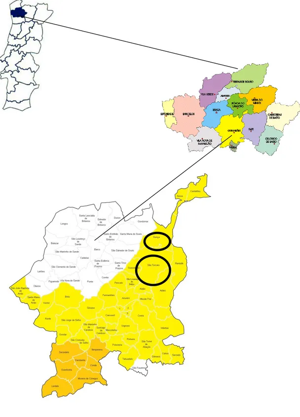 Figura 1 – Mapa do Concelho de Guimarães 