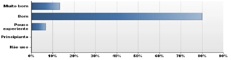 Gráfico 9 - Domínio dos meios audiovisuais 