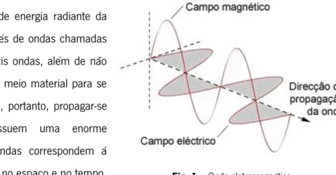 Fig. 1 – Onda eletromagnética.