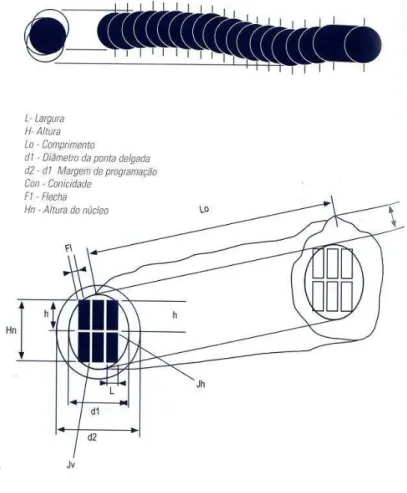 Figura 10 - Informação adquirida pelo scanner e posterior tratamento (Sanz et al., 2007) 