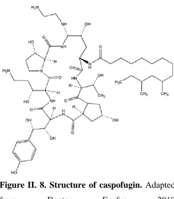 Figure  II.  8.  Structure  of  caspofugin.  Adapted 