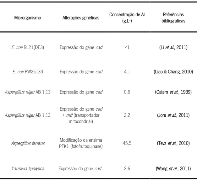 Tabela 1. 2 - Microrganismos geneticamente modificados para a produção de AI. 
