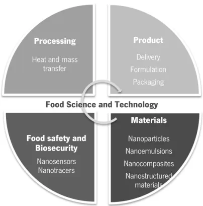 Figure 2.1 - Applications of nanotechnology in food sector. Image adapted from Blasco and Picó (2011)  and Weiss et al