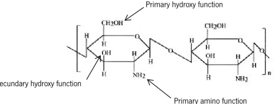 Figure 2.5 – Chemical structure of chitosan. Image adapted from Kumar (2000) and Mourya and Inamdar  (2008)