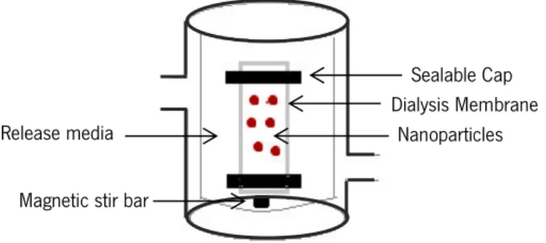 Figure 2.10 – Schematic presentation of set-up for release profile by dialysis membrane method