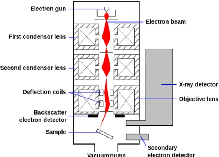 Figure 2.4 – Representation of the SEM microscope and its respective  components. 