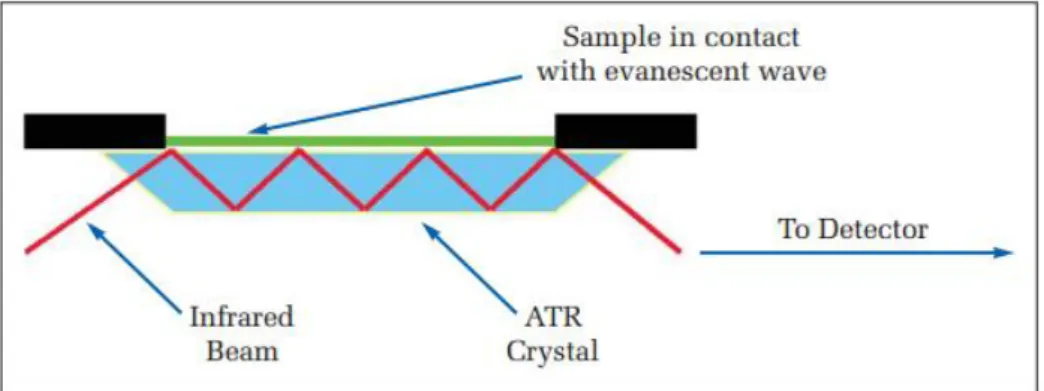 Figure 2.5  – Explanation of the ATR technique.  The infrared beam passes through the  ATR  crystal  with  a  45  º  (on  the  figure)  angle  of  incidence  and  is  reflected  through  the  interior of the crystal hitting at least one point where the cry
