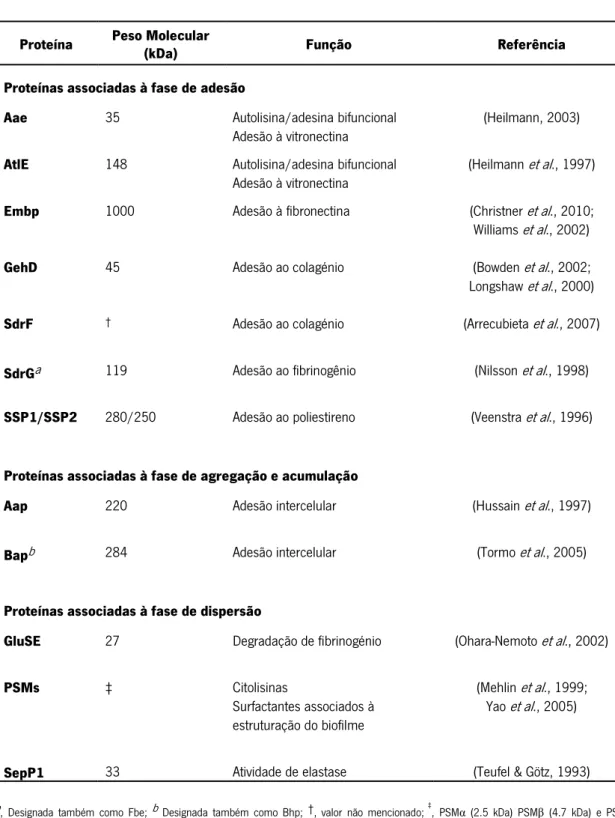Tabela 2: Sumário das proteínas descritas na formação de biofilme de  S. epidermidis 