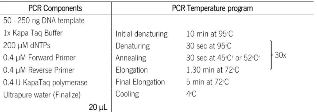 Table 2.4. PCR components and temperature program conditions to gene amplification with KapaTaq DNA polymerase