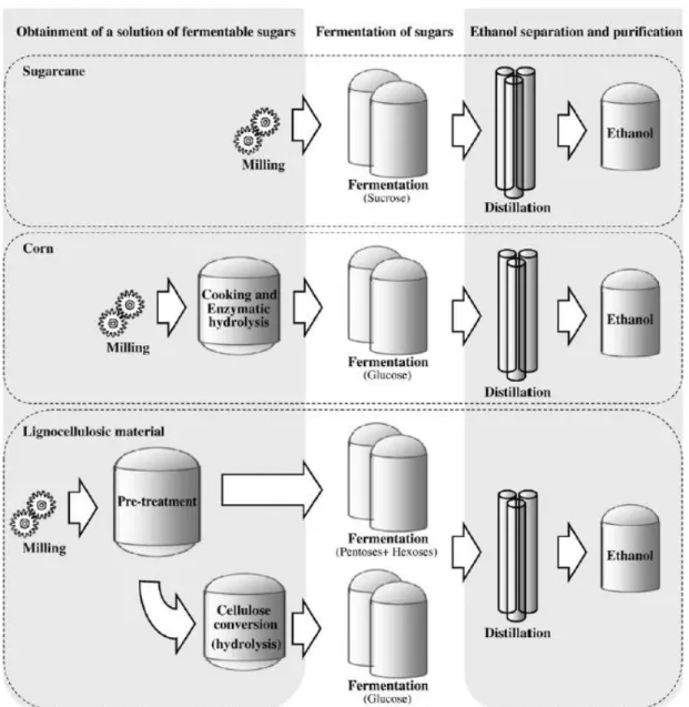 Figure 0.2. Main raw materials and processes used for ethanol production. Reproduced from Mussatto  et al