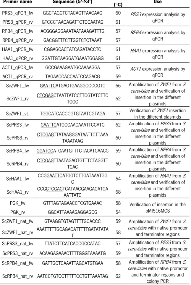 Table 0.3. Primers used during this work. Underlined are the recognition sites of the restriction enzymes used in the  cloning procedures