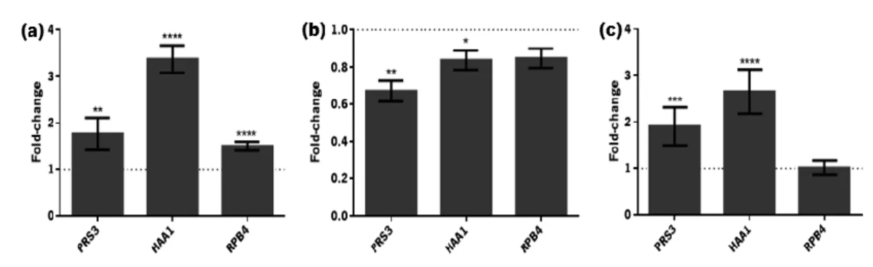 Figure  0.3.  Differential  expression  of  PRS3 ,  HAA1   and  RPB4   during  different  phases  of  S