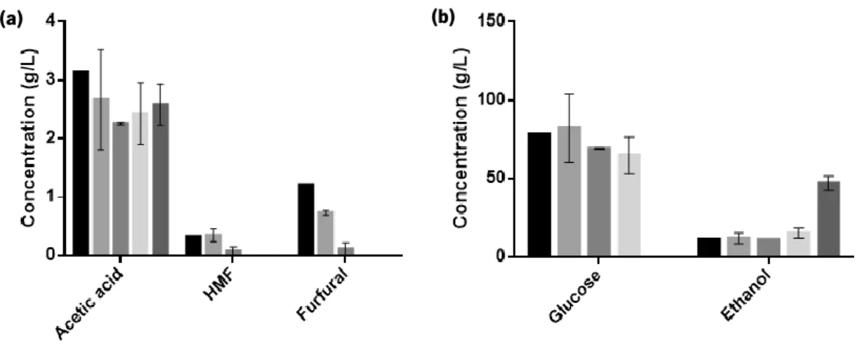 Figure 0.4. Variation of the concentration of the inhibitors, acetic acid, HMF and furfural (a), as well as glucose and  ethanol (b), during the fermentation of  S
