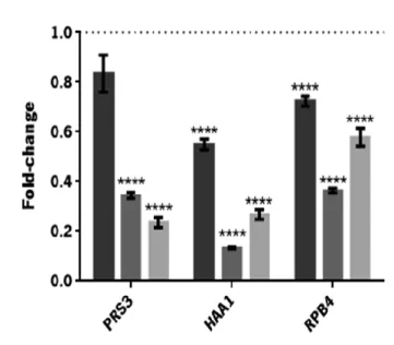 Figure  0.5.  Differential  expression  of  PRS3 ,  HAA1   and  RPB4   along  a  fermentation  in  inhibitory  medium:  late  lag- lag-phase ( ), initial exponential lag-phase ( ) and initial stationary lag-phase ( )