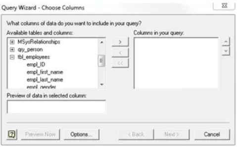 Figure 3: MS-Query Column window