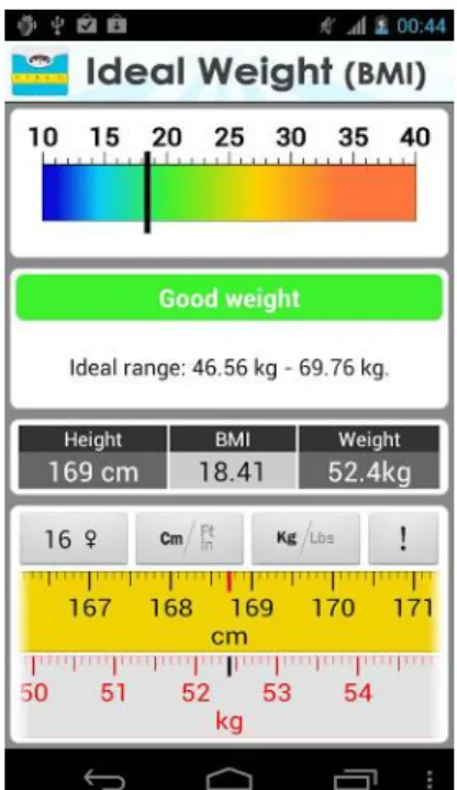 Figure 6 - Ideal Weight (BMI) application interface 