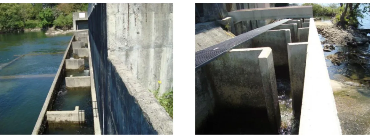Fig. 13 – Escada para peixes na mini-hídrica da Ponte do Bico.              Fig. 14 – Escada para peixes na represa da fábrica de papel em Medros