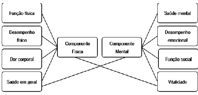 Figura 1: Modelo fatorial SF-36 com duas componentes (adaptado de Ferreira, 2000a). 