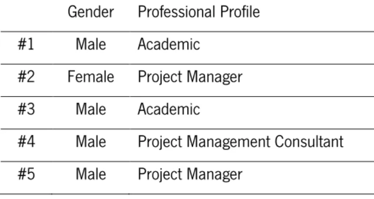 Table 2 - Information about project management panel of interviews 