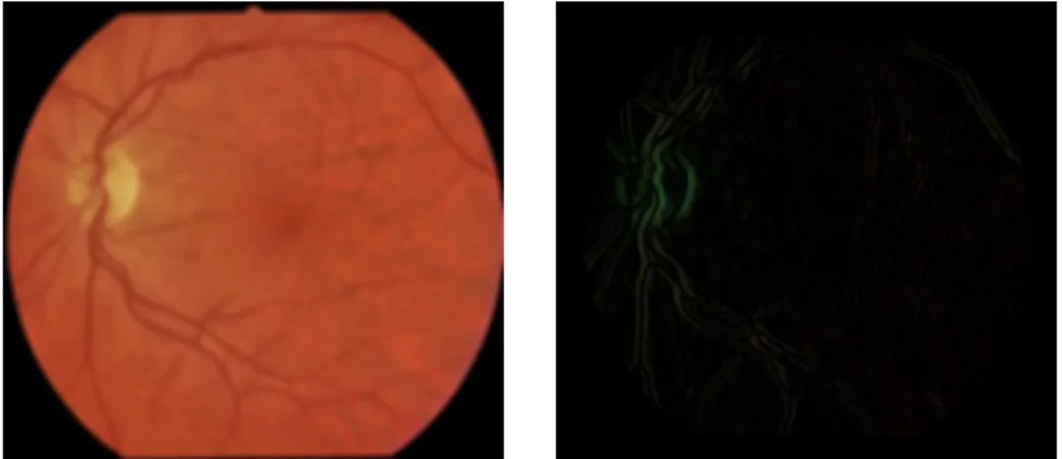 Figure 2.2. The blurred image (left), and the result of applying the Sobel operator in each colour channel (right)